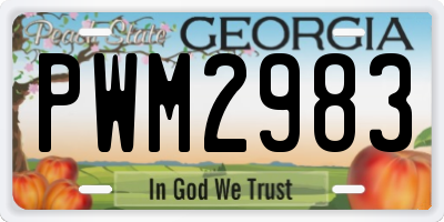 GA license plate PWM2983