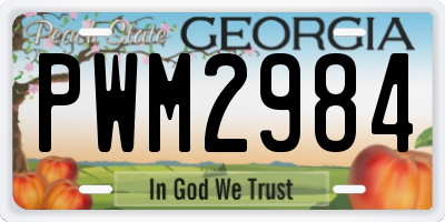 GA license plate PWM2984