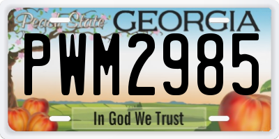 GA license plate PWM2985