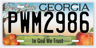 GA license plate PWM2986