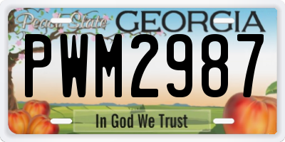 GA license plate PWM2987