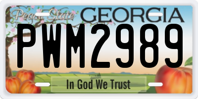 GA license plate PWM2989