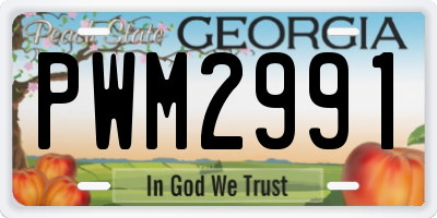 GA license plate PWM2991