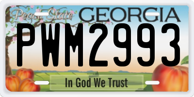 GA license plate PWM2993