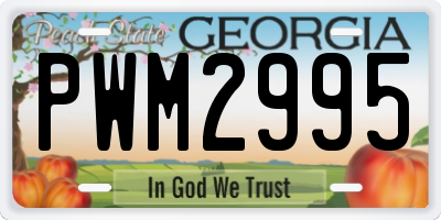 GA license plate PWM2995
