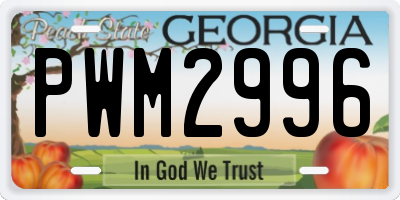 GA license plate PWM2996