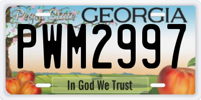 GA license plate PWM2997