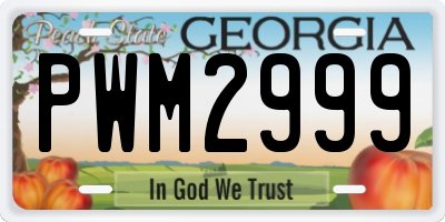 GA license plate PWM2999