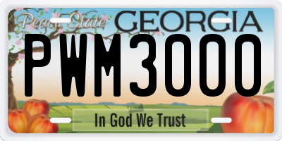 GA license plate PWM3000