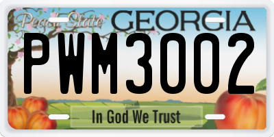 GA license plate PWM3002