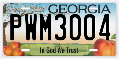 GA license plate PWM3004