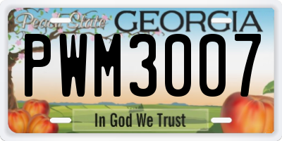 GA license plate PWM3007