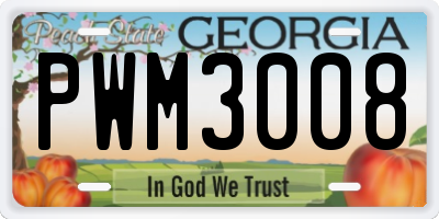 GA license plate PWM3008