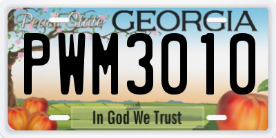 GA license plate PWM3010