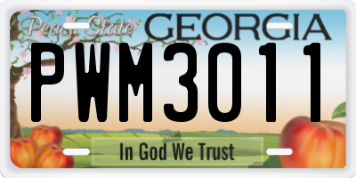 GA license plate PWM3011