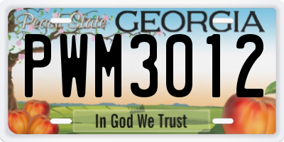 GA license plate PWM3012