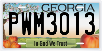 GA license plate PWM3013