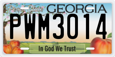GA license plate PWM3014