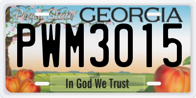 GA license plate PWM3015