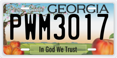GA license plate PWM3017