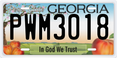 GA license plate PWM3018