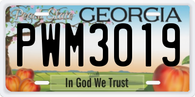 GA license plate PWM3019