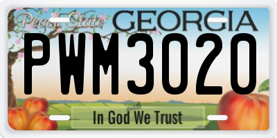 GA license plate PWM3020