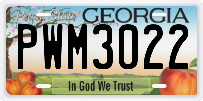 GA license plate PWM3022