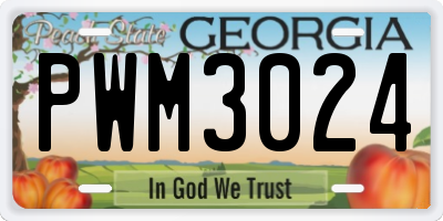 GA license plate PWM3024
