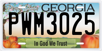GA license plate PWM3025