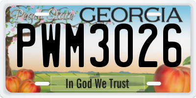 GA license plate PWM3026