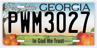 GA license plate PWM3027