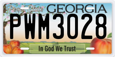 GA license plate PWM3028