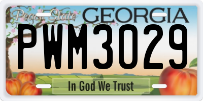 GA license plate PWM3029