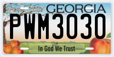 GA license plate PWM3030