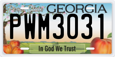 GA license plate PWM3031