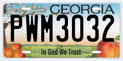 GA license plate PWM3032