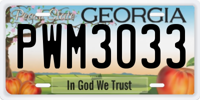 GA license plate PWM3033