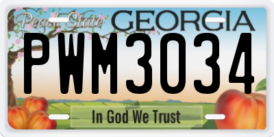 GA license plate PWM3034