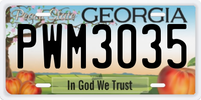GA license plate PWM3035