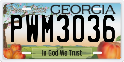 GA license plate PWM3036