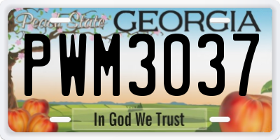 GA license plate PWM3037