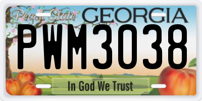 GA license plate PWM3038