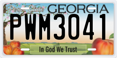 GA license plate PWM3041
