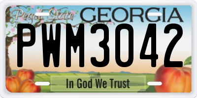 GA license plate PWM3042