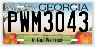 GA license plate PWM3043