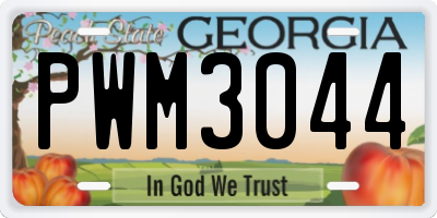 GA license plate PWM3044