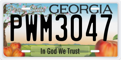 GA license plate PWM3047