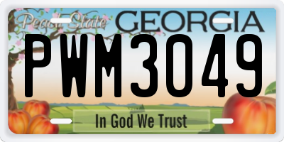 GA license plate PWM3049