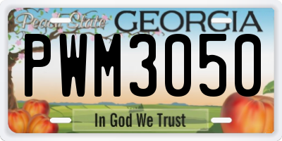 GA license plate PWM3050